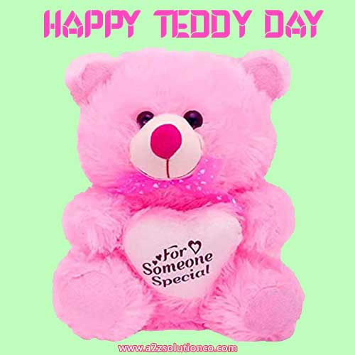Best Top 100 Happy Teddy Day Shayari Status, SMS and Quotes | टेडी डे शायरी