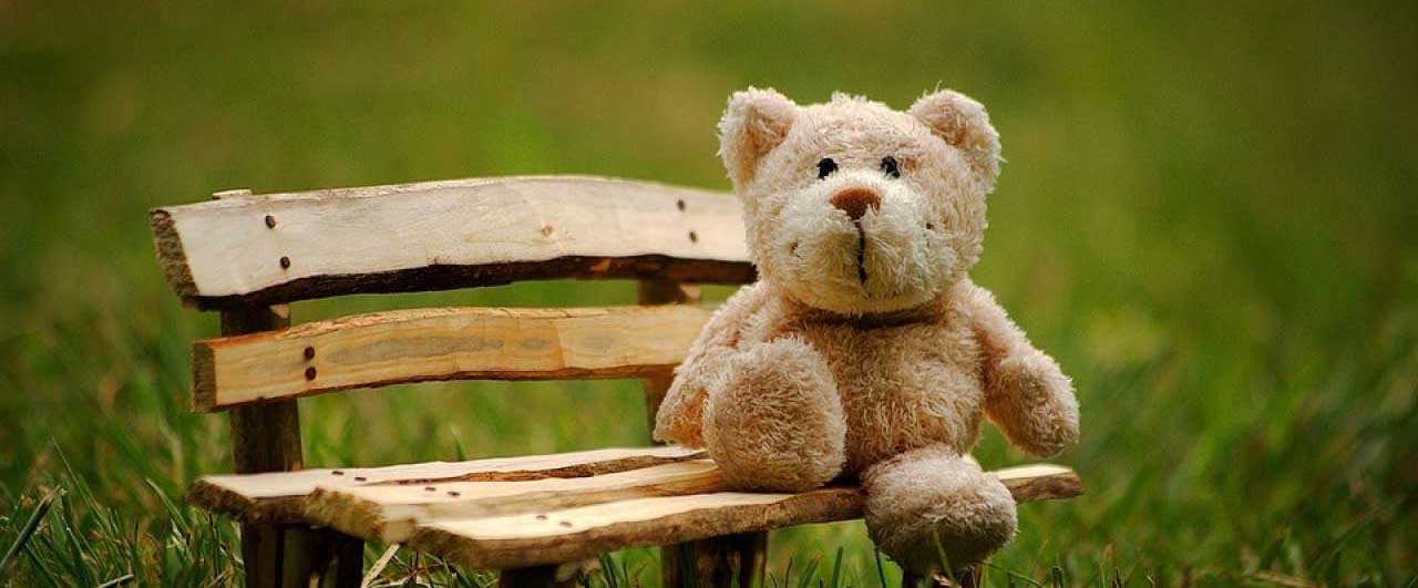 Best Top 100 Happy Teddy Day Shayari Status, SMS and Quotes | टेडी डे शायरी