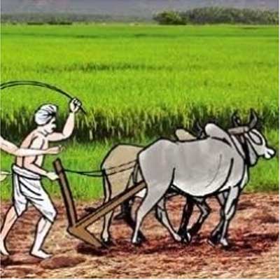 एक किसान की कहानी ek kisan ki kahani